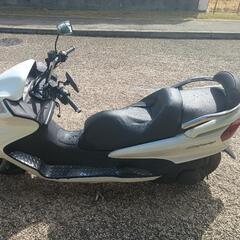 マジェスティ250Cの画像
