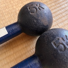 鉄アレイ（5kg × 2）の画像
