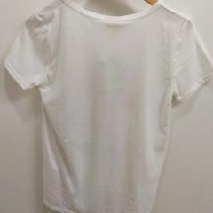 【セサミストリート】 Tシャツ  白  プリントT  新品   Mサイズの画像