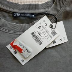 新品ザラ　ZARA  上下　定価8000円以上の画像
