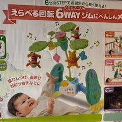 えらべる回転6WAYジムにへんしんメリーの画像
