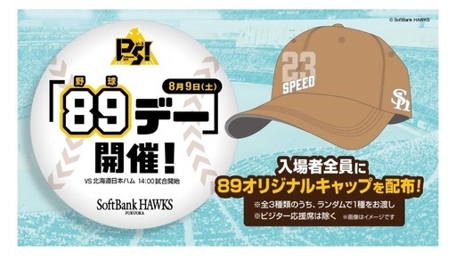 ホークス　観戦チケット2枚8/9(土) S指定席