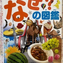 本の画像