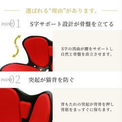 骨盤矯正 椅子 姿勢矯正の画像
