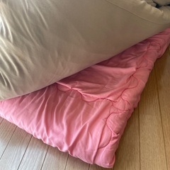 明日午前中に取りに来ていただける方！差し上げます 掛け布団2枚ありますの画像