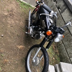 スズキ
K50の画像