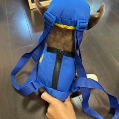 チェイスリュックの画像