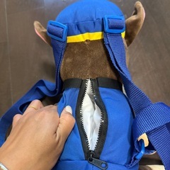 チェイスリュックの画像