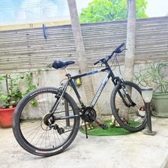 マウンテンバイクの画像
