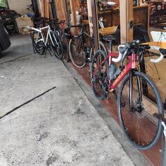 リドレー　フェニックス SLA DISC.2024 （予約済み）