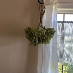 あじさい　アナベル　ドライフラワー　Sサイズの画像