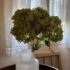 あじさい　アナベル　ドライフラワー　Sサイズの画像