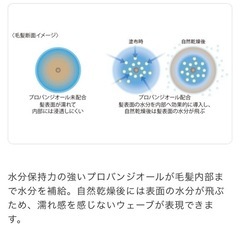 ミルボン　二ゼル　クラッチフィズ　フォーム　　の画像