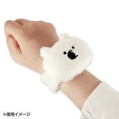 いきものがかり　てけがギュッとバンド ASOBIの画像
