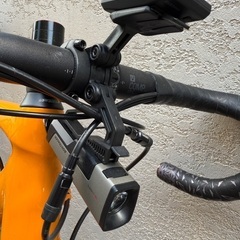トレック TREK エモンダ EMONDA ALR4 サイズ 50の画像