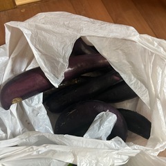 野菜
の画像