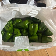 野菜
の画像