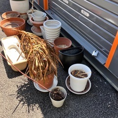 無料　植木鉢色々の画像