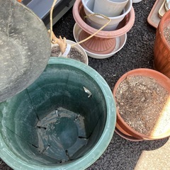 無料　植木鉢色々の画像