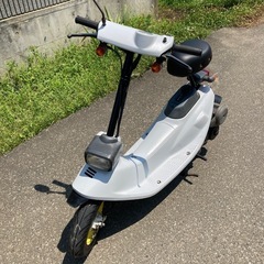 ホンダ　ズーク　zook 整備しましたの画像