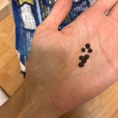 水槽用低床素材　プラチナソイルの画像