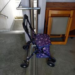 女性向け買い物カートの画像
