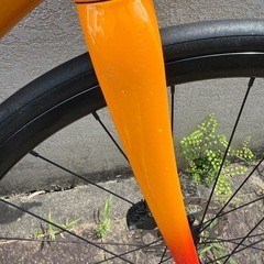 トレック TREK エモンダ EMONDA ALR4 サイズ 50の画像