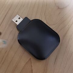 値下げ★パナソニック 無線LAN DY-WL10の画像