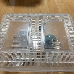 ハムスター　飼育セットの画像