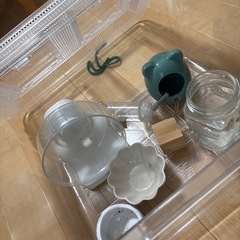 ハムスター　飼育セットの画像