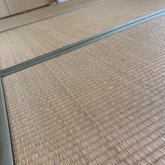 い草のたたみ　の画像