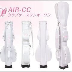 ワールドイーグル　ゴルフ　ハーフセット　バッグ付き　右用の画像