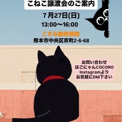 🩷可愛い盛りの子猫の譲渡会🩷