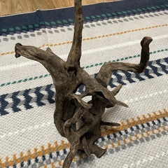 流木の画像