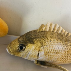 金色　鯛金ぬいぐるみの画像