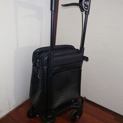 シルバーカーの画像