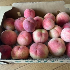 朝採り　桃　6kg ご家庭用　④の画像