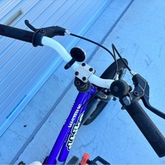 IDES d-bike MASTER16 自転車 子ども用 mw0500の画像