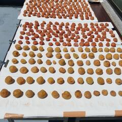 農薬不使用・天日干し自家製梅干し250ｇの画像