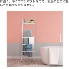 ラダーラックの画像