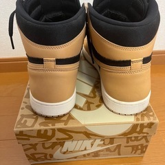 【極美品】30.0cmNIKE AIR JORDAN 1 RETRO HIGH OG Vachetta Tanナイキ エア ジョーダン 1 レトロ ハイ バケッタタン30cm 30センチ完品の画像