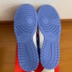 【未使用】29.5cm Nike Dunk Low Retro BTTYS Polar Blue DV0833-400 ナイキ ダンクロー　ポーラーブルー　希少29.5センチの画像
