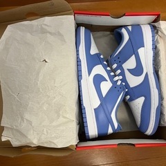 【未使用】29.5cm Nike Dunk Low Retro BTTYS Polar Blue DV0833-400 ナイキ ダンクロー　ポーラーブルー　希少29.5センチの画像