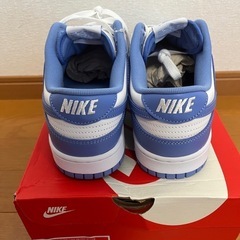 【未使用】29.5cm Nike Dunk Low Retro BTTYS Polar Blue DV0833-400 ナイキ ダンクロー　ポーラーブルー　希少29.5センチの画像