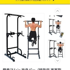 STEADY懸垂マシン ぶら下がり健康器の画像