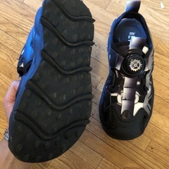 20センチの画像