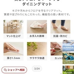 透明マットの画像