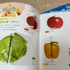 こどもチャレンジ　しまじろう教材とDVD ぽけっと2、3歳児用の画像
