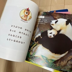 こどもチャレンジ　ほっぷ　12ヶ月分教材とDVDの画像