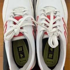 【ゴルフシューズ】adidasレディースgolf shoes 23cm 23.0cm 23センチ　美品　アディダススニーカー　ゴルフ女子　ゴルフ用品の画像